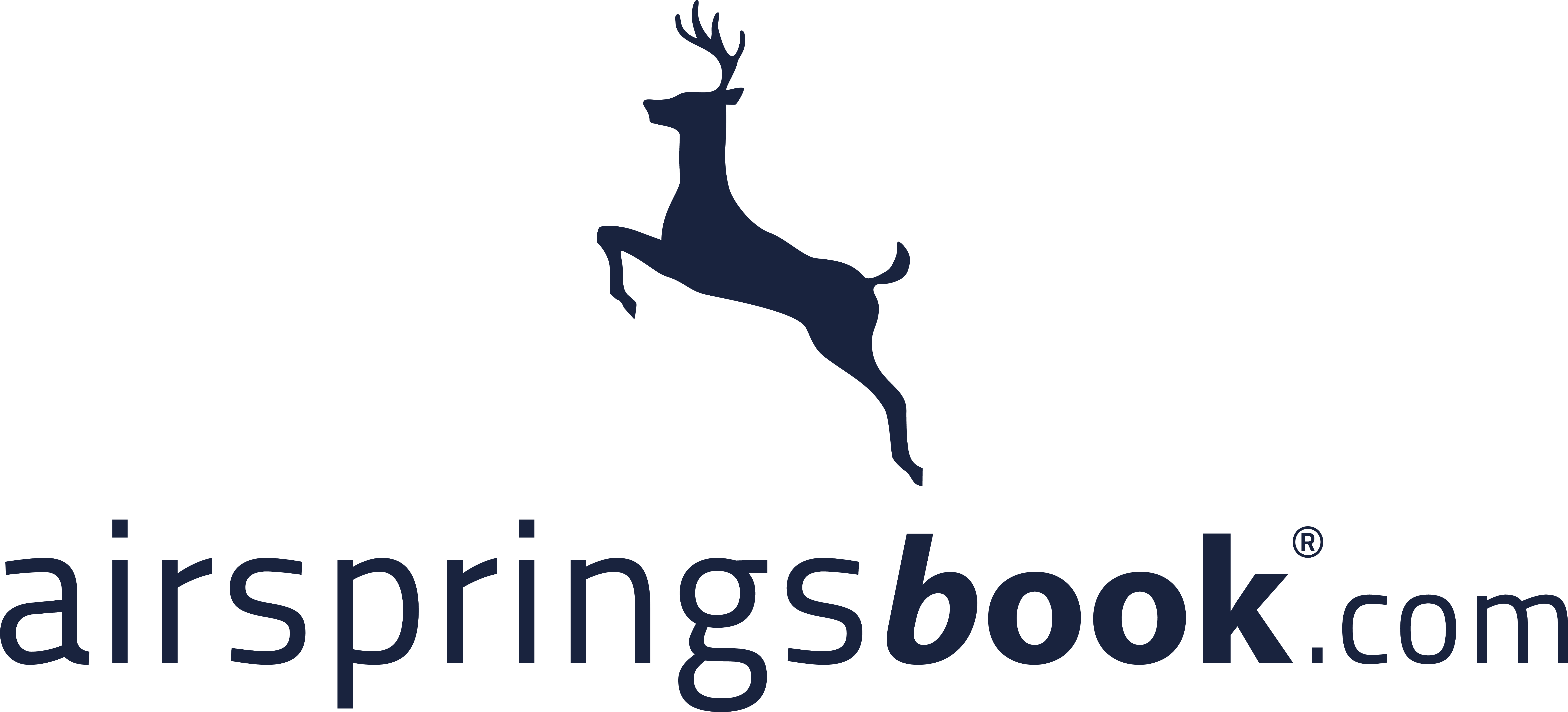 airspringsbook.com